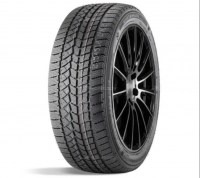 Doublestar Winterking DW02 215 70 R16 100T зимние шины
